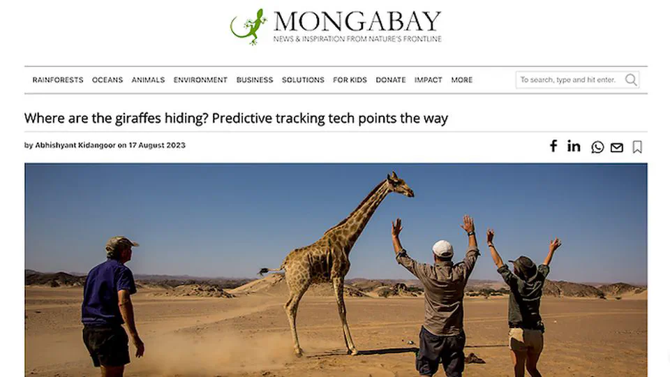 Where are the giraffes hiding? Predictive tracking tech points the way