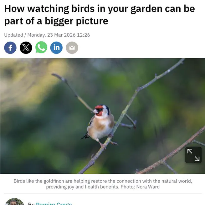 How watching birds in your garden can be part of a bigger picture.