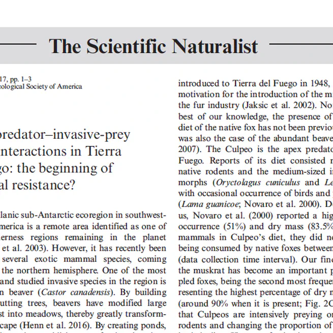 Native-predator-invasive-prey trophic interactions in Tierra del Fuego: the beginning of biological resistance?