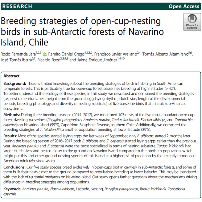 Breeding strategies of open-cup-nesting birds in sub-Antarctic forests of Navarino Island, Chile