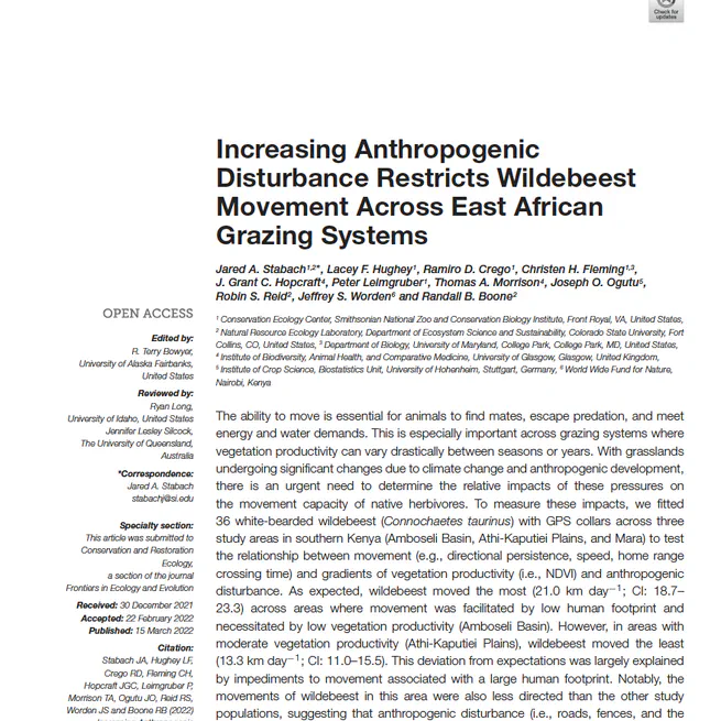 Increasing Anthropogenic Disturbance Restricts Wildebeest Movement Across East African Grazing Systems