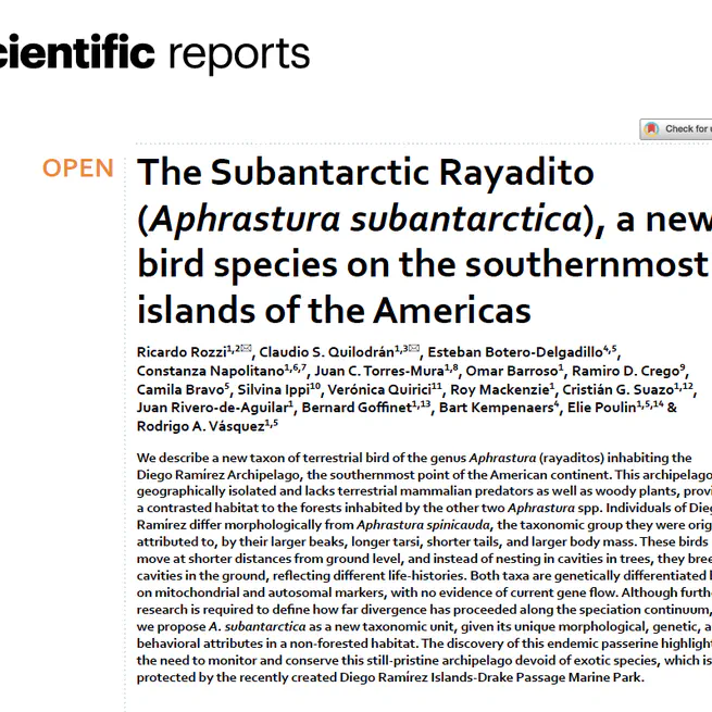 The Subantarctic Rayadito (Aphrastura subantarctica), a new bird species on the southernmost islands of the Americas