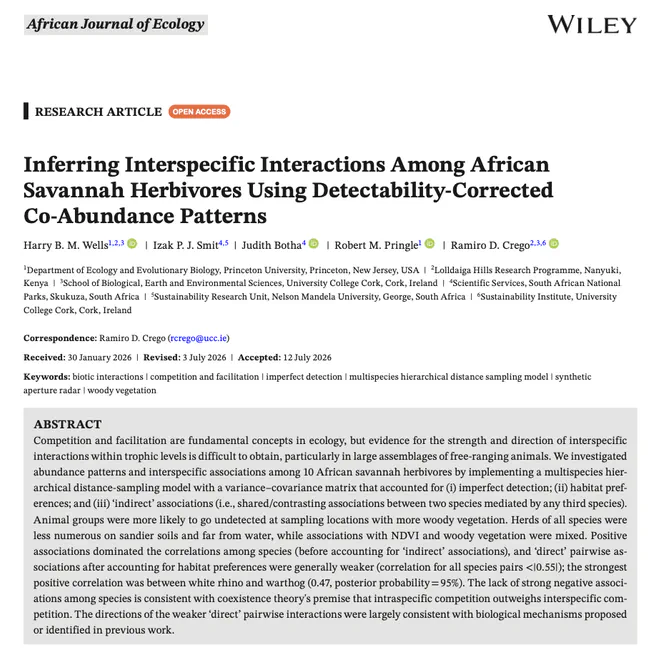 Inferring interspecific interactions among African savanna herbivores using bias-corrected co-abundance patterns