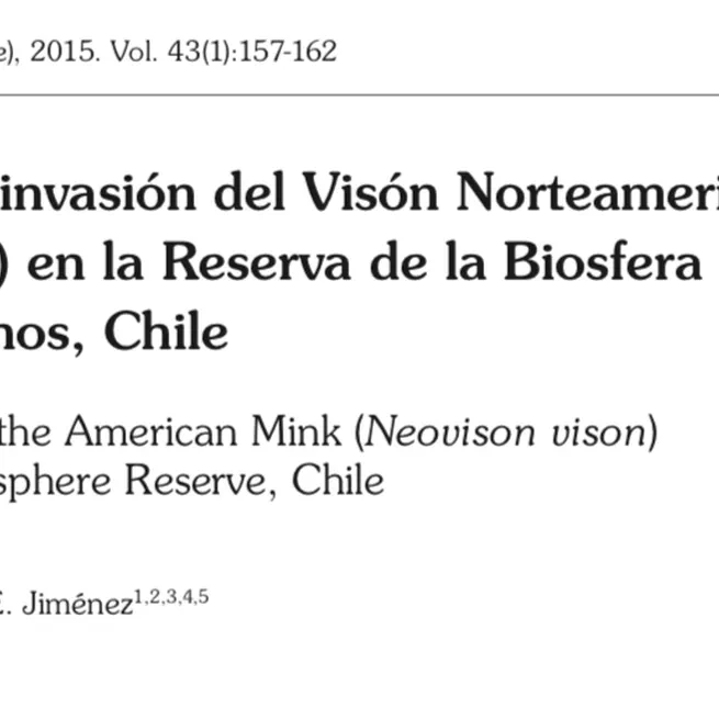 Expansión de la invasión del Visón Norteamericano (Neovison vison) en la Reserva de la Biosfera de Cabo de Hornos, Chile