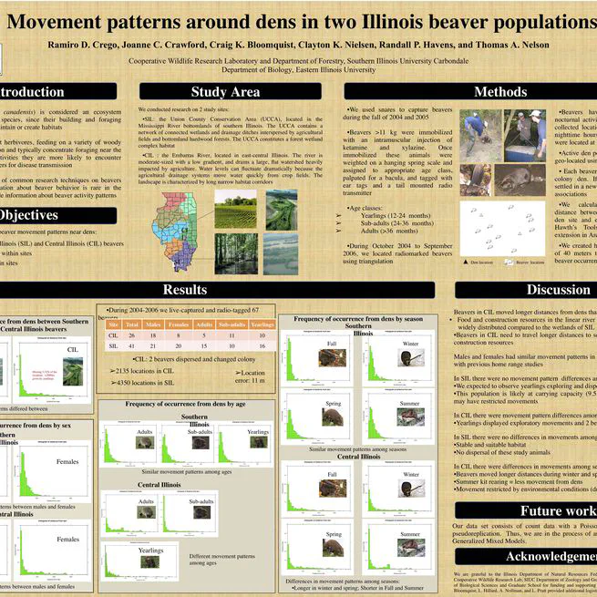 Movement patterns around dens in two Illinois beaver populations