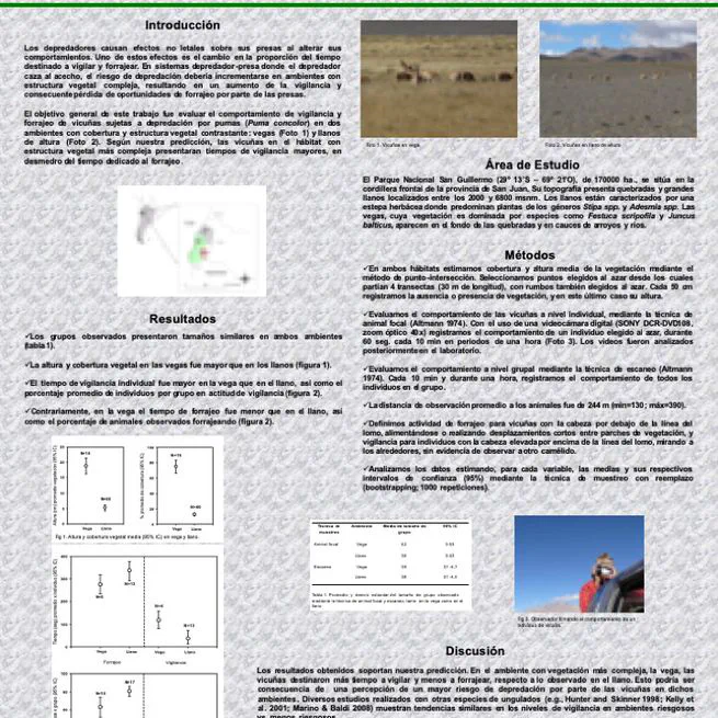 Vigilant and foraging budgets of vicuñas (Vicugna vicugna) in habitats with different vegetation structure