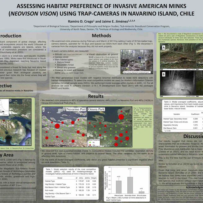 Assessing habitat preference of invasive minks (Neovison vison) using trap-cameras in Navarino Island, Chile