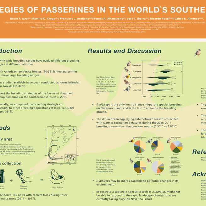 Breeding strategies of passerines in the world’s southernmost forests