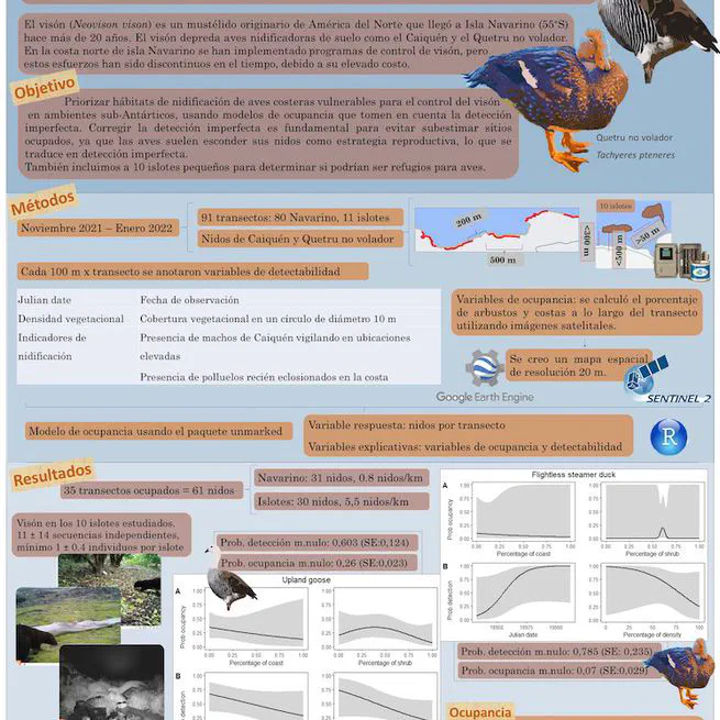 Identifying nesting habitats of shorebirds under mink predation in subantarctic environments