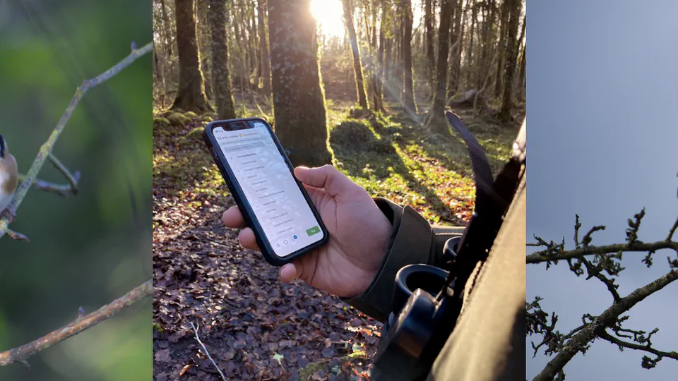 Modeling the unseen - studying birds occupancy and abundance using citizen science