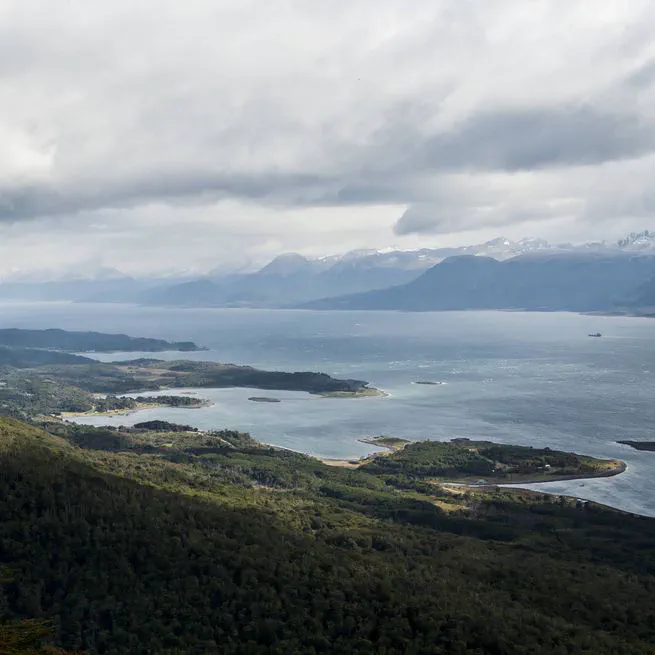 Invasive species and biocultural conservation in the Cape Horn Biosphere Reserve