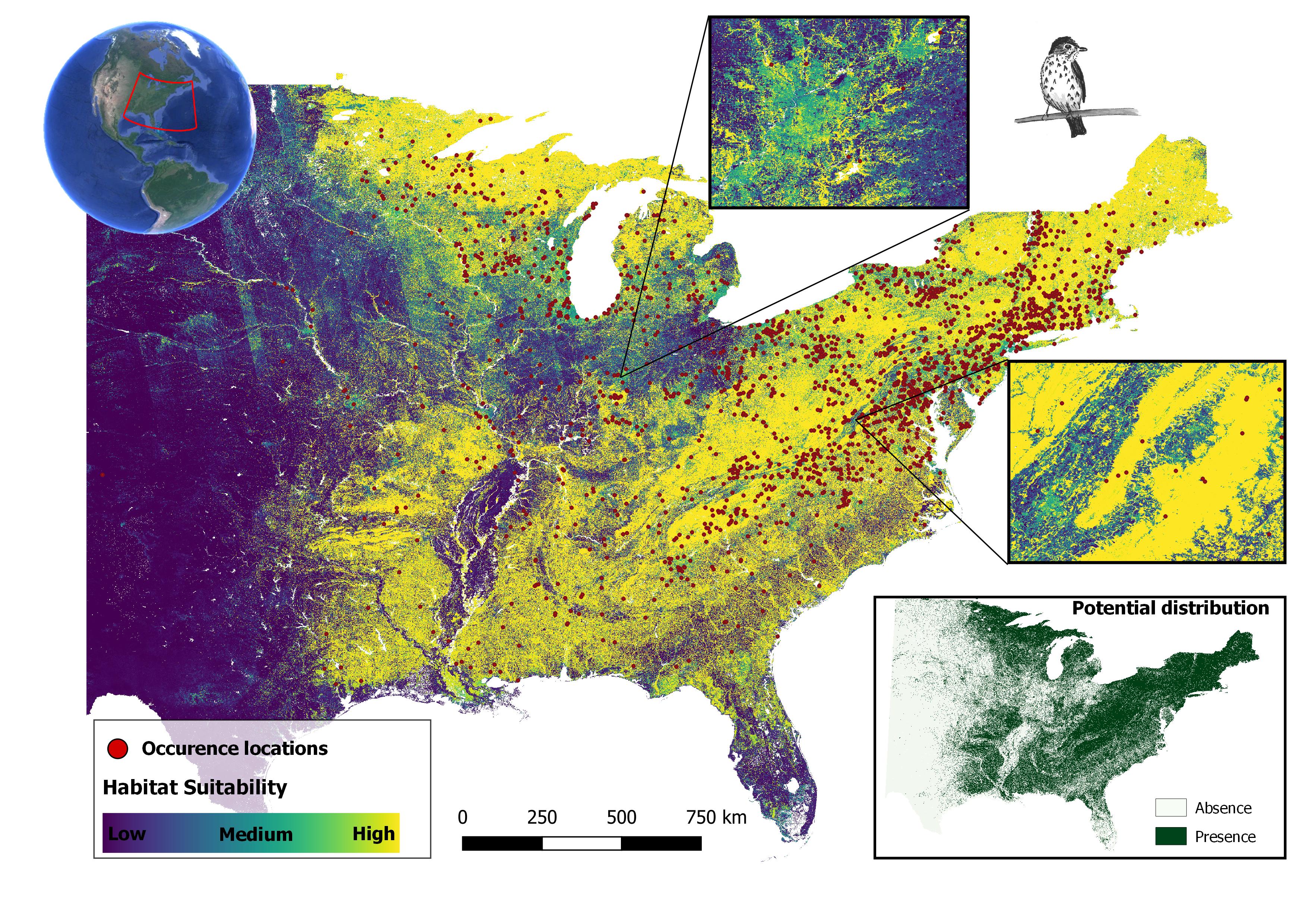 Figure 18. Habitat suitability prediction for Hylocichla mustelina across the eastern continental USA (4,606,284 km2) at 90 m spatial resolution. This analysis used a combination of Landsat 8 surface reflectance collection 2 and Advanced Land Observing Satellite (ALOS) Phased Arrayed L-band Synthetic Aperture Radar (SAR) mosaics and averaged temperature datasets. The zoom-in boxes show details of habitat suitability predictions at 90 m spatial resolution. Red dots represent 2,000 presence locations of Hylocichla mustelina, randomly selected from the 34,880 observations used for modelling. The potential distribution is also shown in the bottom left corner of the figure.