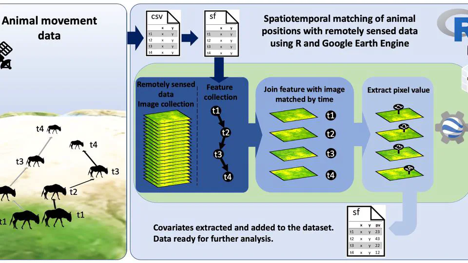 Enhancing animal movement analyses - Spatiotemporal matching of animal positions with remotely sensed data using Google Earth Engine and R