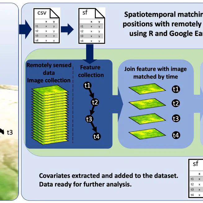 Enhancing animal movement analyses - Spatiotemporal matching of animal positions with remotely sensed data using Google Earth Engine and R