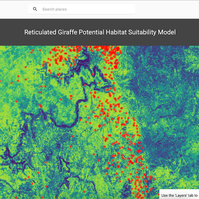 Reticulated giraffe habitat suitability