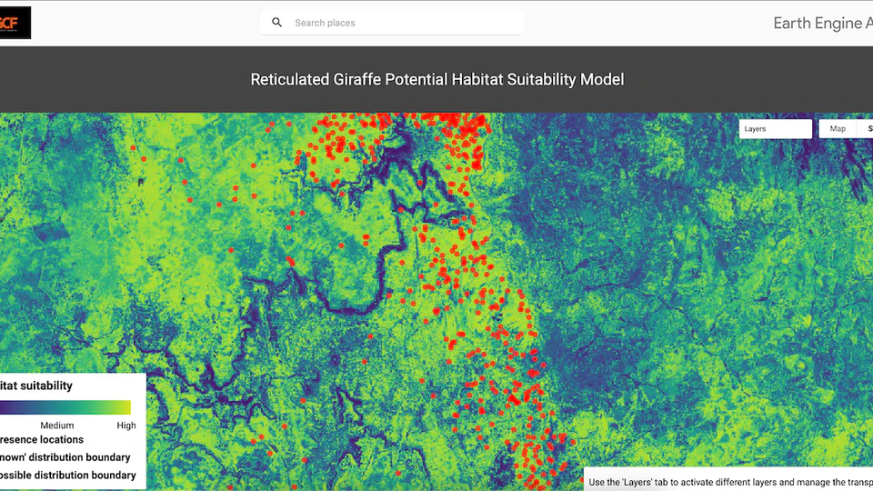 Reticulated giraffe habitat suitability